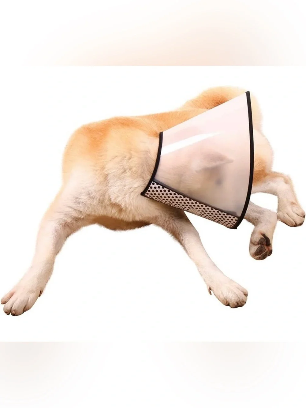 DCEZAETN Dog Cone Adjustable Pet Cone Dog Recovery Collar Comfy Soft Dog Cone Co